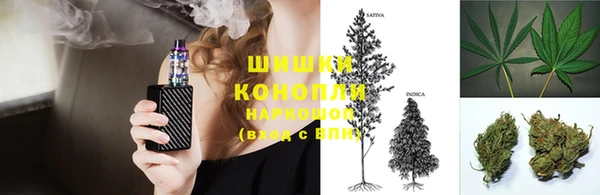 трава Арсеньев
