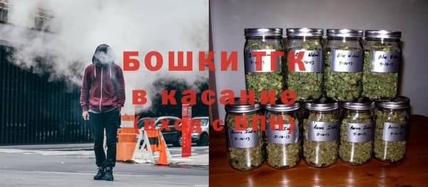 трава Арсеньев