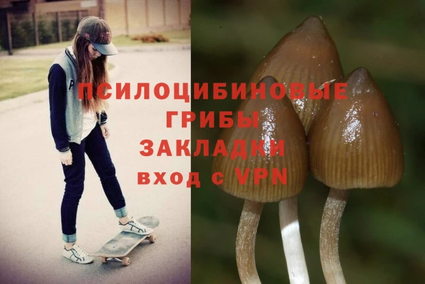 трава Арсеньев